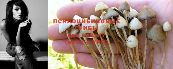 МДПВ Киреевск